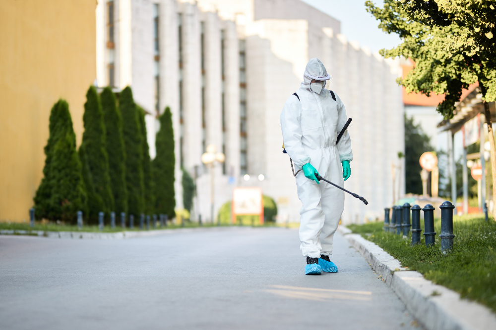 What Are Pest Control Flyers?